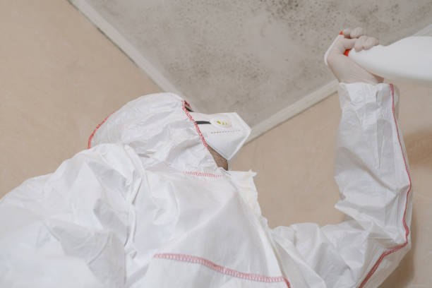 Mold Removal and Inspection in New Lisbon, WI